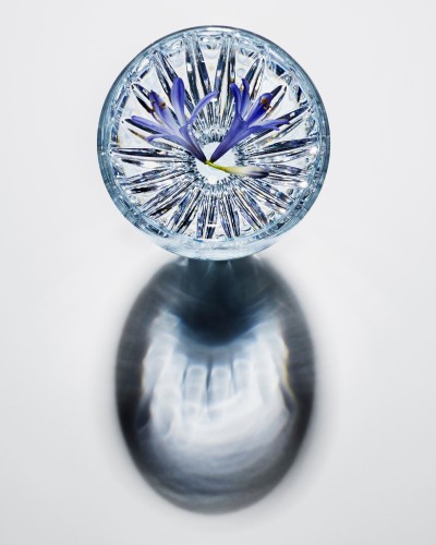 Baccarat - Crystal Flower