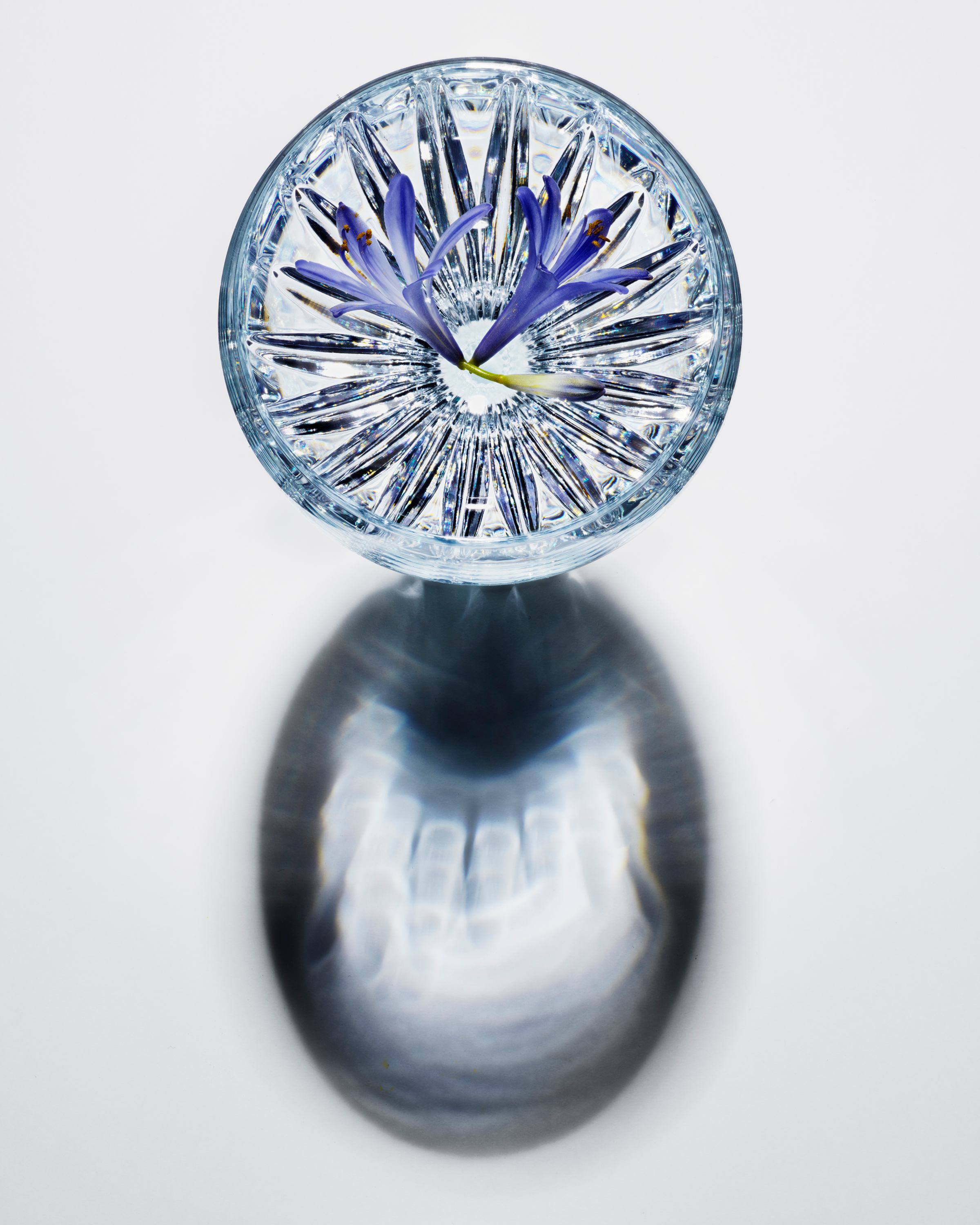 Baccarat - Crystal Flower