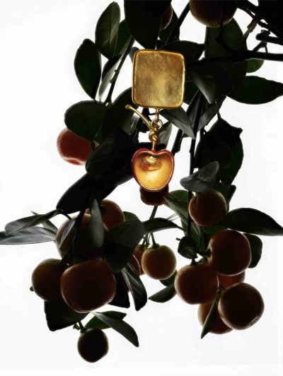 Fruits Paradis