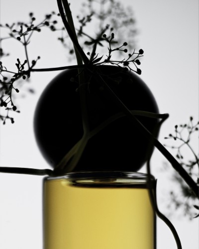 Hima Jomo - Spring in Bome