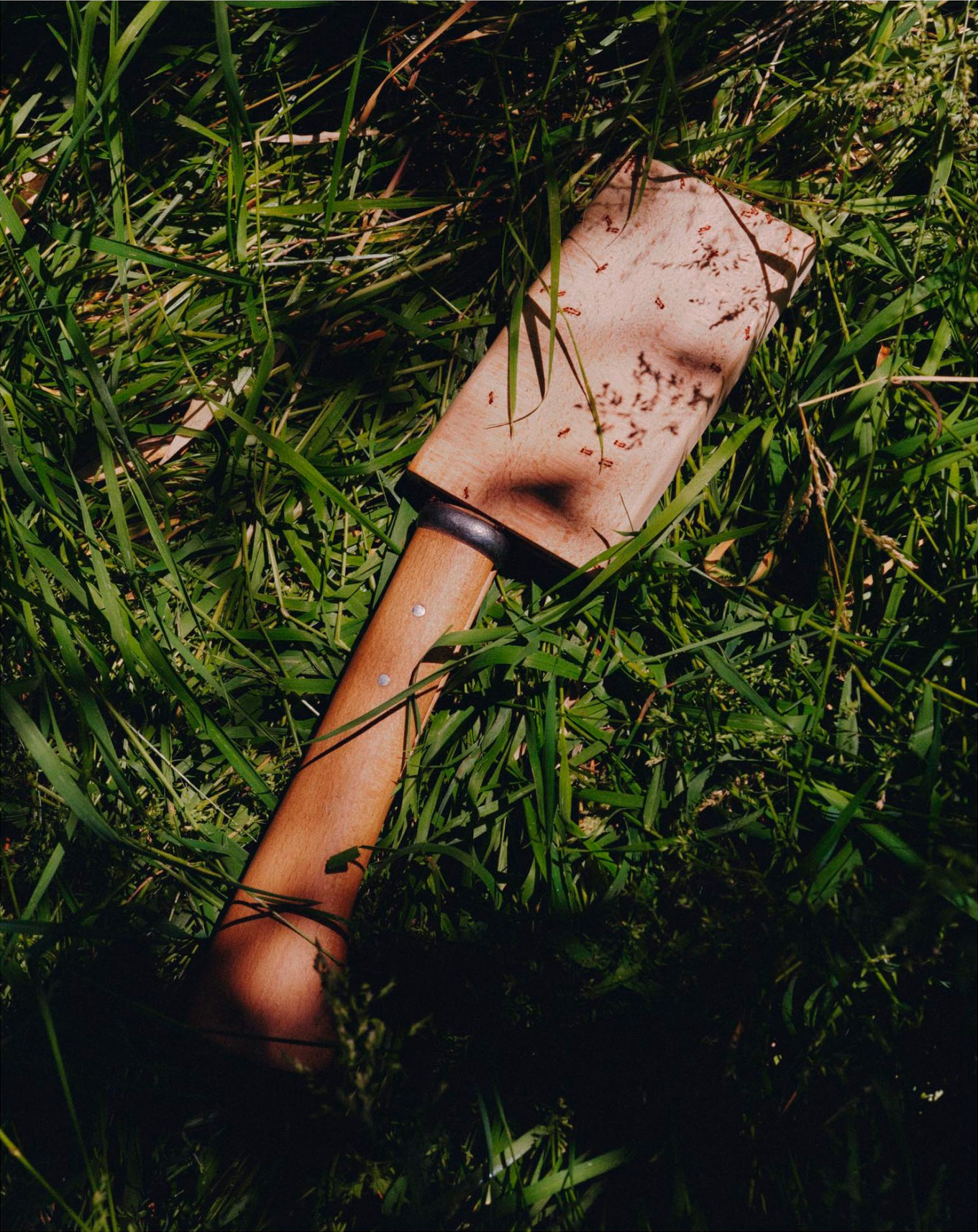 Regain Magazine - Plastique Pas Automatique