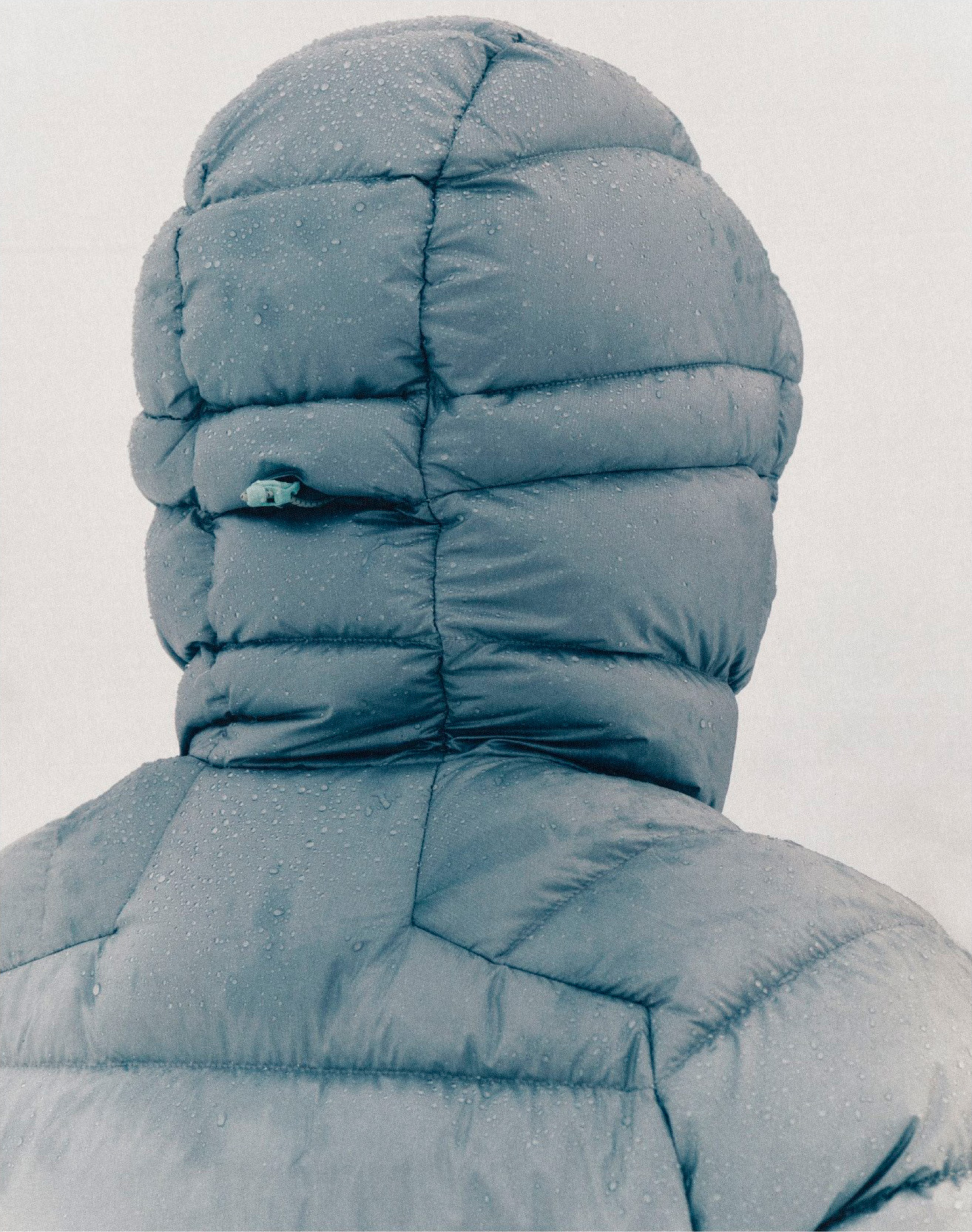 Salomon 2025