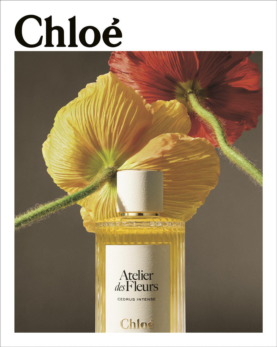 Chloé Atelier Des Fleurs
